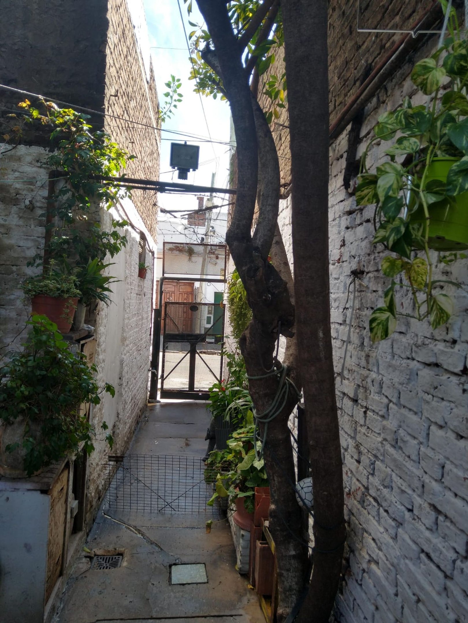LOTE VENTA CON 3 PH A RECICLAR VILLA LYNCH — foto 1