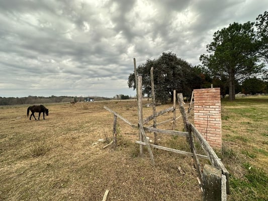 Terreno — foto 6