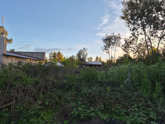 VENTA LOTE Gral RODRIGUEZ 712 m2 — foto 3