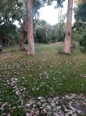 Casa 3 amb Exaltacion de la Cruz lote 1000 m — foto 5