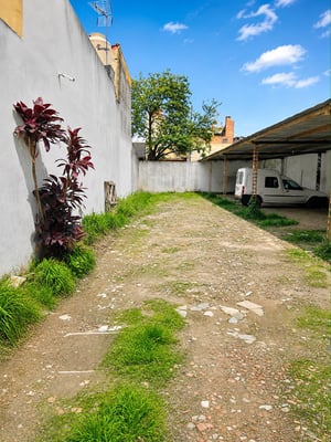 Terreno — foto 2
