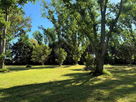 Terreno — foto 5