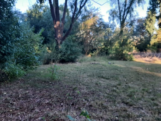 Lote Parque Exaltacion 1.000m2 Ex de la Cruz — foto 3