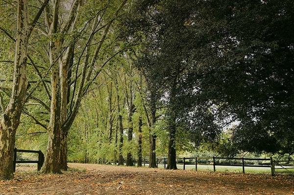 Terreno — foto 6