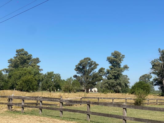 Terreno — foto 1