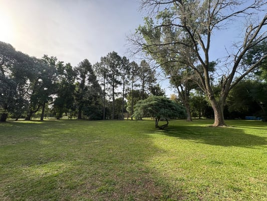 Terreno — foto 7