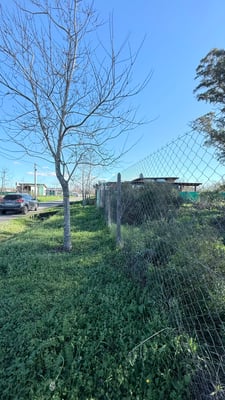 Terreno — foto 3