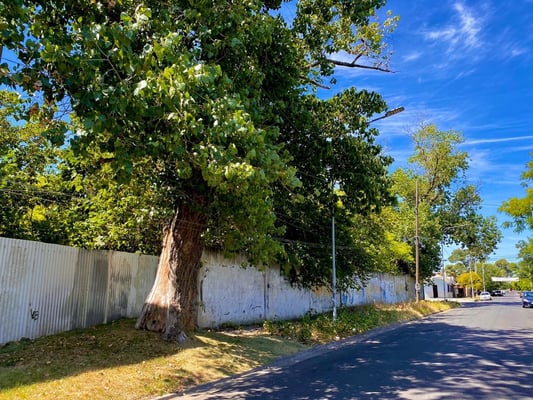 Terreno — foto 5