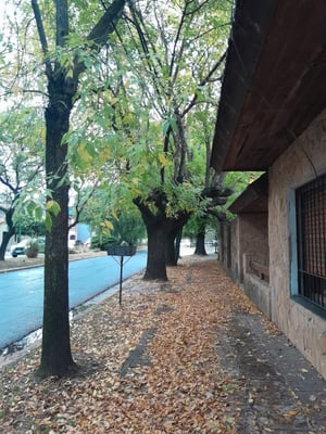 Terreno — foto 6