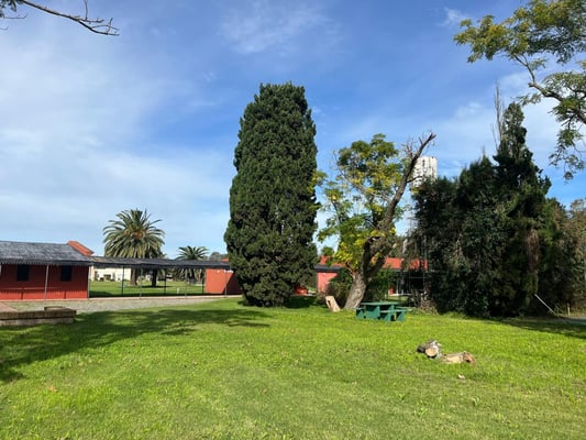 Terreno — foto 4
