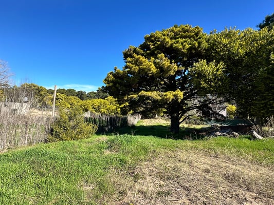 Lote en venta  Las Gaviotas  Partido de Villa Gesell — foto 4