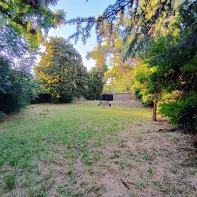 Terreno — foto 5
