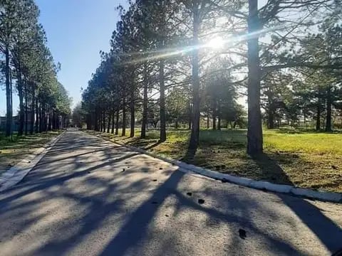 Terreno — foto 8