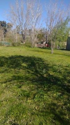VENTA LOTE GRAL RODRIGUEZ 774 METROS CUADRADOS — foto 5