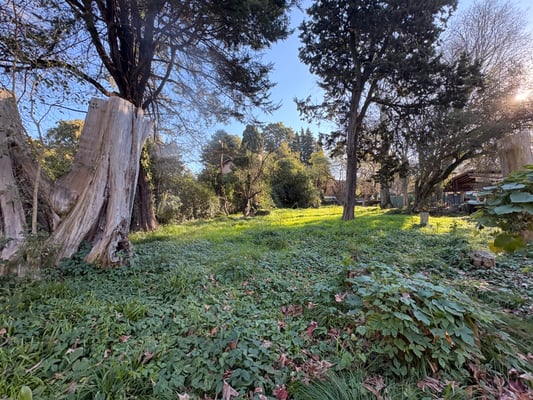 Terreno — foto 4