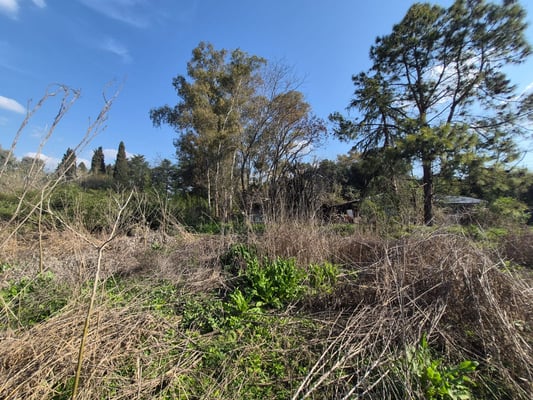 VENTA AMPLIO LOTE CAÑUELAS  RUTA 3 KM 52 IDEAL INV — foto 5