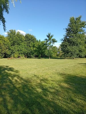 VENTA LOTE GRAL RODRIGUEZ 774 METROS CUADRADOS — foto 4
