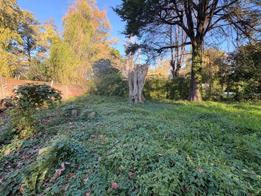 Terreno — foto 8