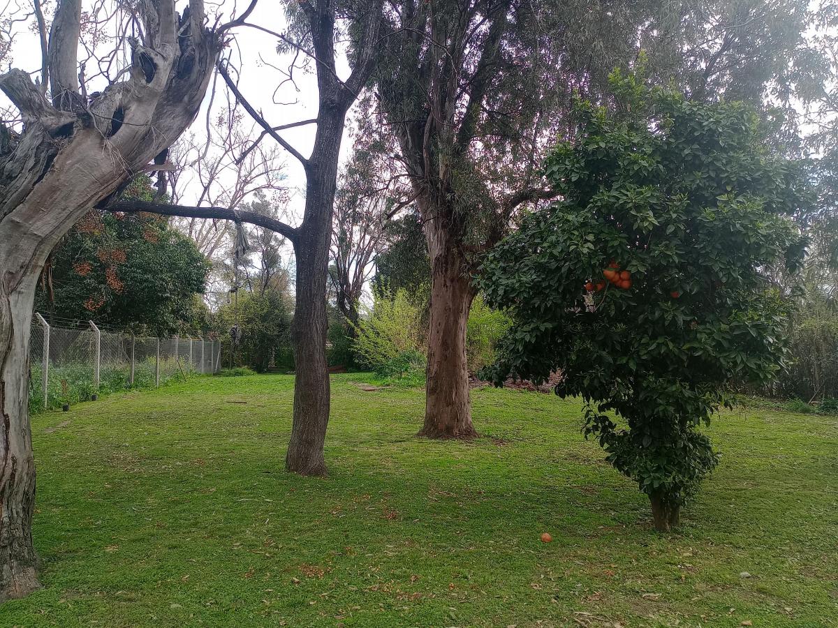 Lote en esquina 883m2 escriturado en Tortuguitas — foto 1