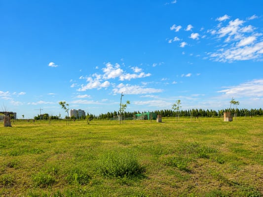 Terreno — foto 6