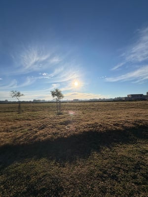 Terreno — foto 2