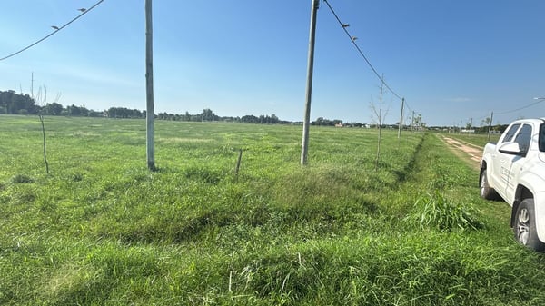 Venta lote lobos barrio Don Felipe — foto 4