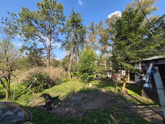 VENTA AMPLIO LOTE CAÑUELAS  RUTA 3 KM 52 IDEAL INV — foto 4