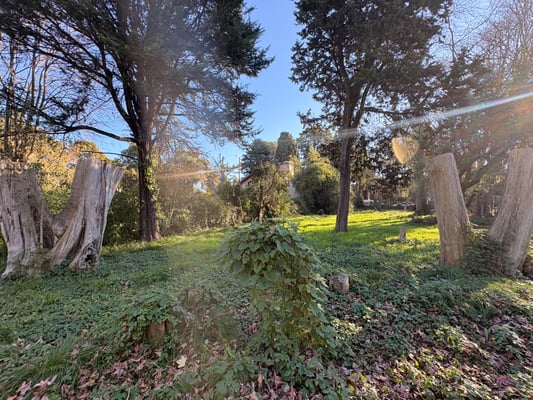 Terreno — foto 5