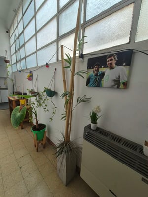 Venta  Ph 2 ambientes  con galeria  50.16 mts Flores — foto 5