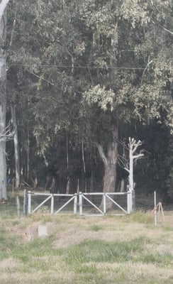 Campo — foto 1
