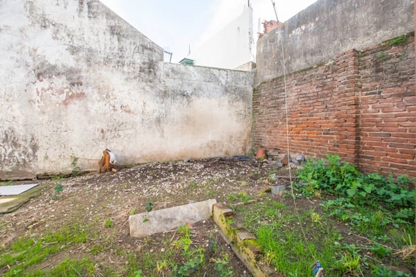 Terreno — foto 6