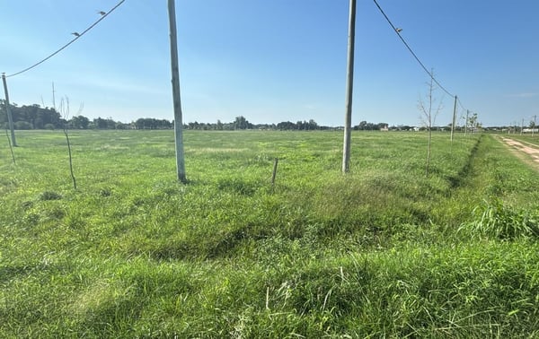 Venta lote lobos barrio Don Felipe — foto 2