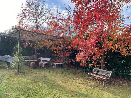 Casa — foto 4
