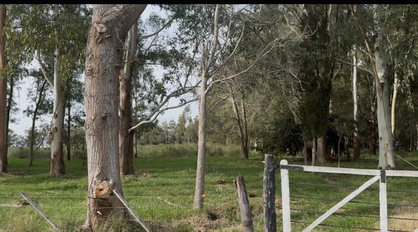 Campo — foto 6