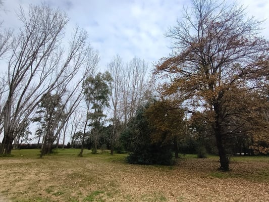 VENTA LOTE 1 HECTAREA PTE DERQUI — foto 3