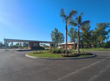 Terreno — foto 6