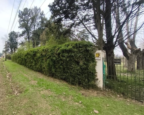 VENTA LOTE 1 HECTAREA PTE DERQUI — foto 4