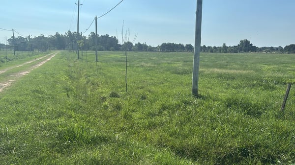 Venta lote lobos barrio Don Felipe — foto 5