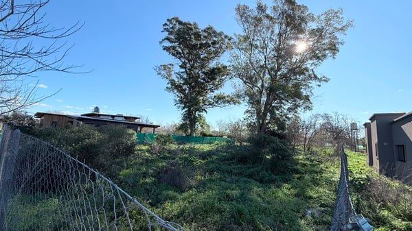 Terreno — foto 4