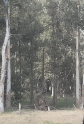 Campo — foto 4