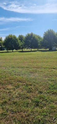 Terreno — foto 4