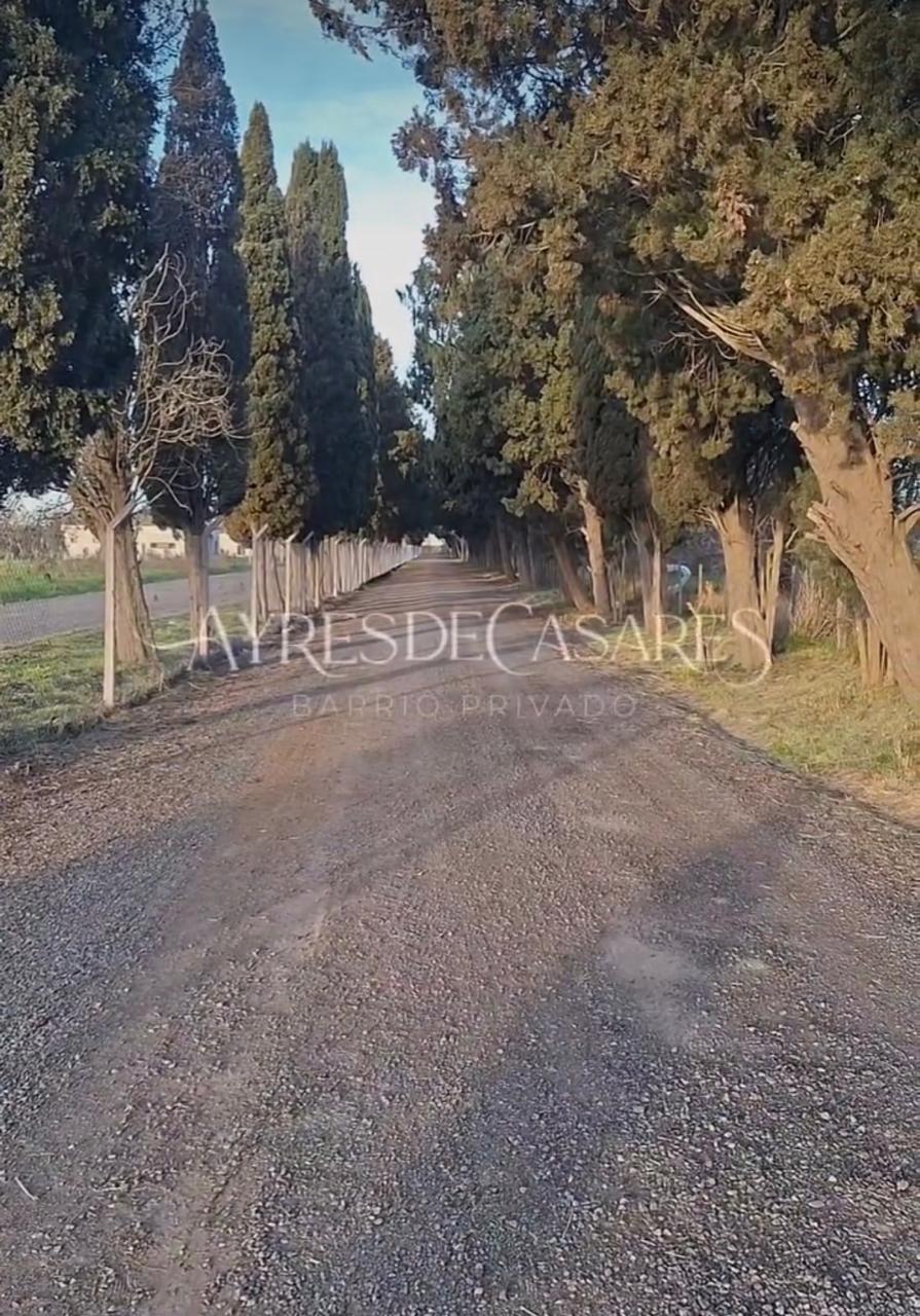LOTE EN VENTA BARRIO PRIVADO CAÑUELAS — foto 1
