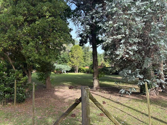 Terreno — foto 6