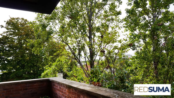 Departamento — foto 4