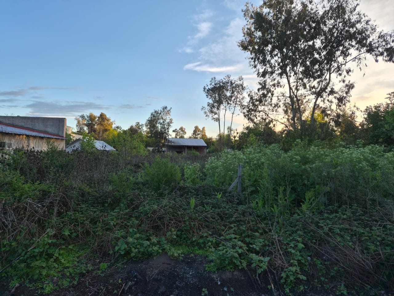 VENTA LOTE Gral RODRIGUEZ 712 m2 — foto 1