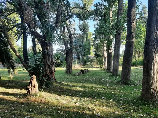 Terreno — foto 1