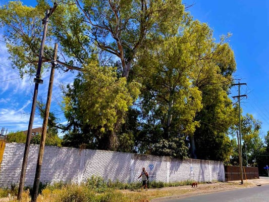 Terreno — foto 4