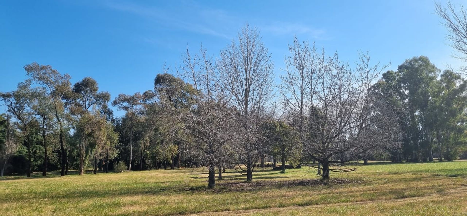 Terreno — foto 6