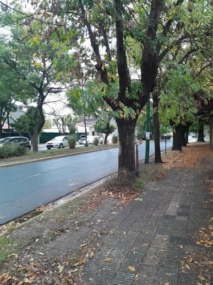 Terreno — foto 7