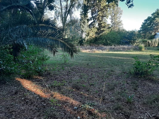Lote Parque Exaltacion 1.000m2 Ex de la Cruz — foto 4